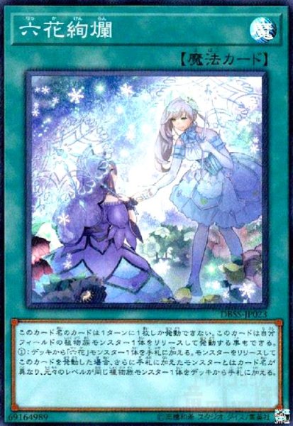 画像1: 六花絢爛(スーパー) (1)