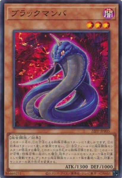 画像1: ブラックマンバ(スーパー) (1)