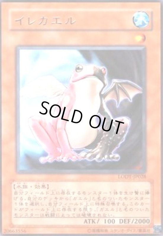 画像1: イレカエル(高価N) (1)