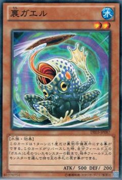 画像1: 裏ガエル(高価N) (1)