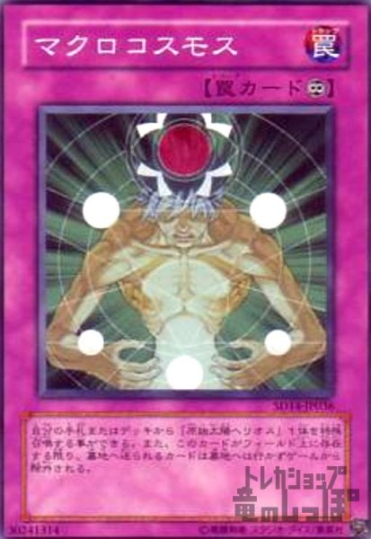 画像1: マクロコスモス(高価N) (1)