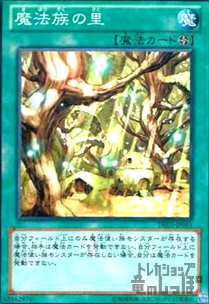 画像1: 魔法族の里(高価N) (1)