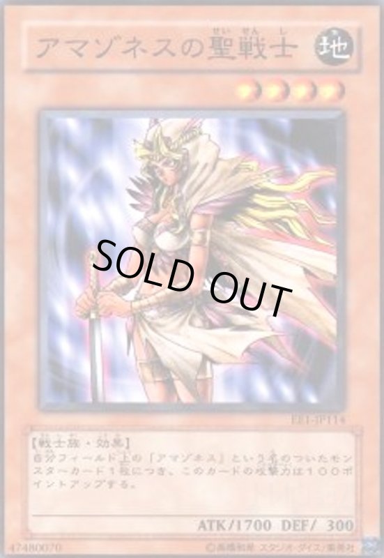 画像1: アマゾネスの聖戦士(高価N) (1)