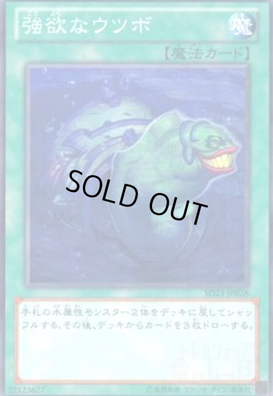 画像1: 強欲なウツボ(高価N) (1)