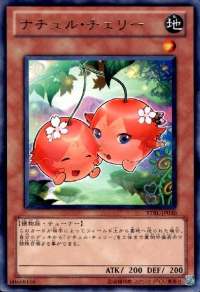 画像1: ナチュルチェリー(高価N) (1)