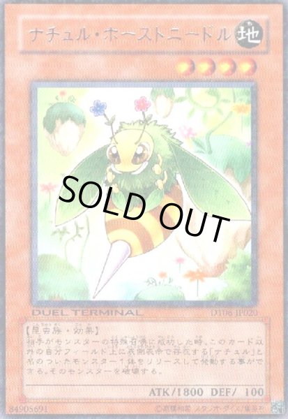 画像1: ナチュルホーストニードル(高価N)(DT) (1)