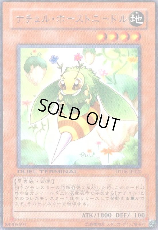 画像1: ナチュルホーストニードル(高価N)(DT) (1)