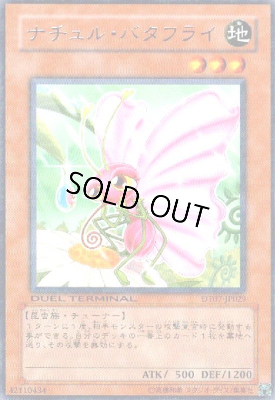 画像1: ナチュルバタフライ(高価N)(DT) (1)