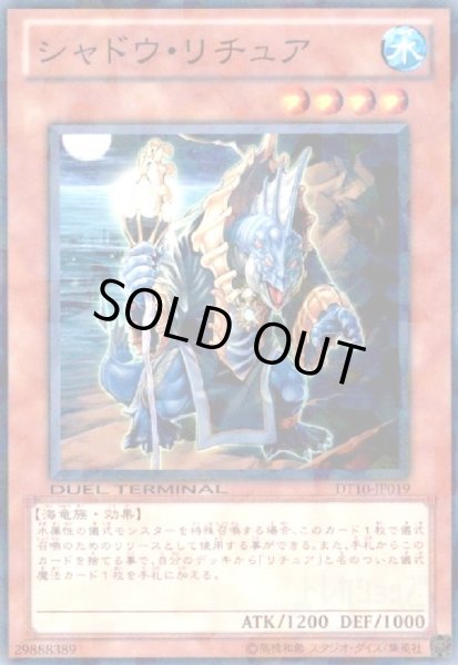 画像1: シャドウリチュア(高価N)(DT) (1)
