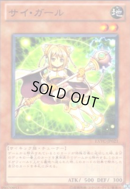 画像1: サイガール(高価N) (1)