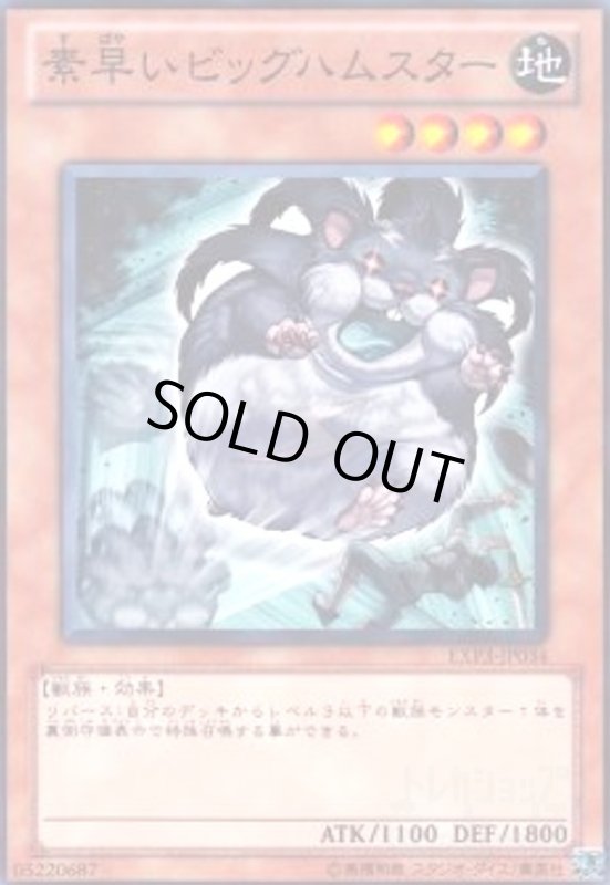 画像1: 素早いビッグハムスター(高価N) (1)