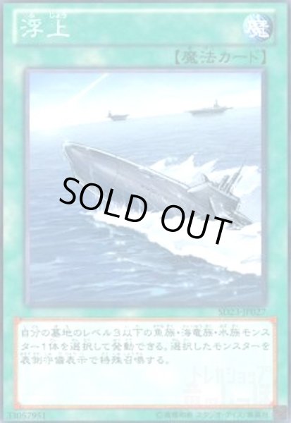 画像1: 浮上(高価N) (1)