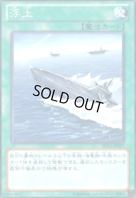 画像1: 浮上(高価N) (1)