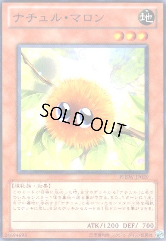 画像1: ナチュルマロン(高価N) (1)