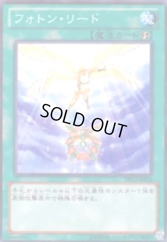 画像1: フォトンリード(高価N) (1)