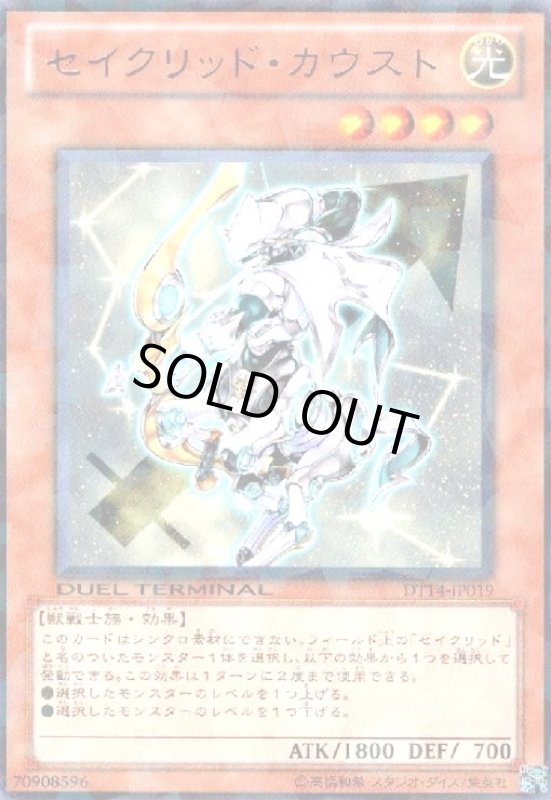 画像1: セイクリッドカウスト(高価N)(DT) (1)