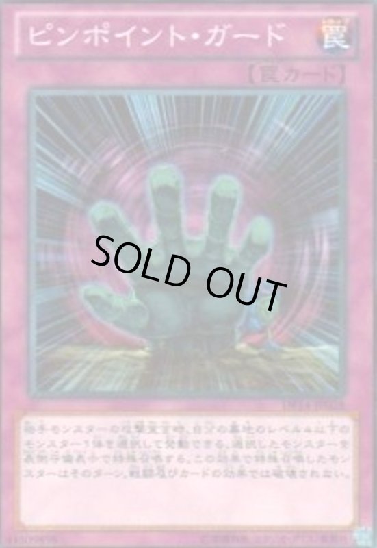 画像1: ピンポイントガード(高価N) (1)