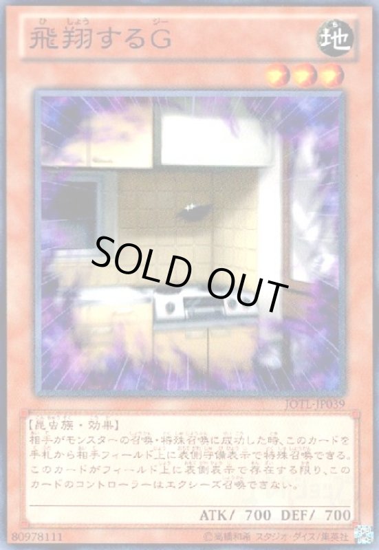 画像1: 飛翔するG(高価N) (1)