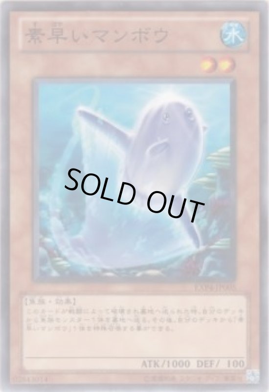 画像1: 素早いマンボウ(高価N) (1)