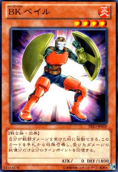 画像1: BKベイル(高価N) (1)