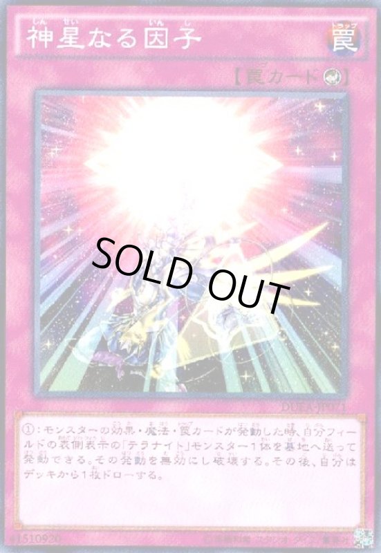 画像1: 神星なる因子(高価N) (1)