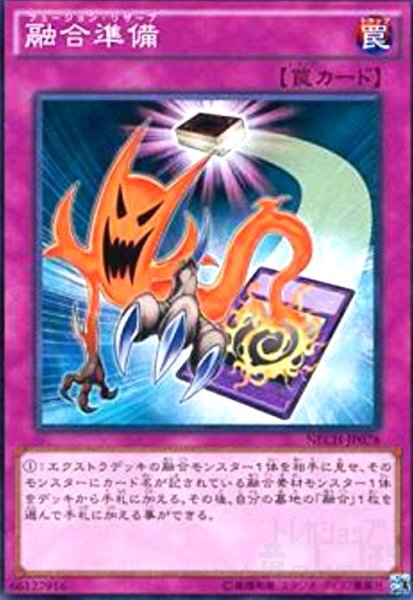 画像1: 融合準備(高価N) (1)