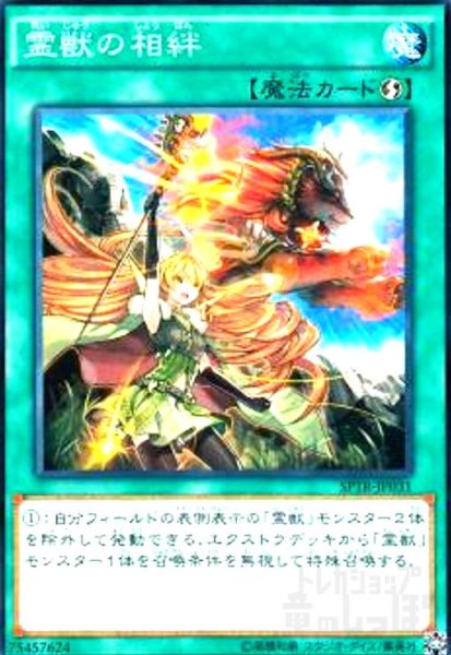 画像1: 霊獣の相絆(高価N) (1)