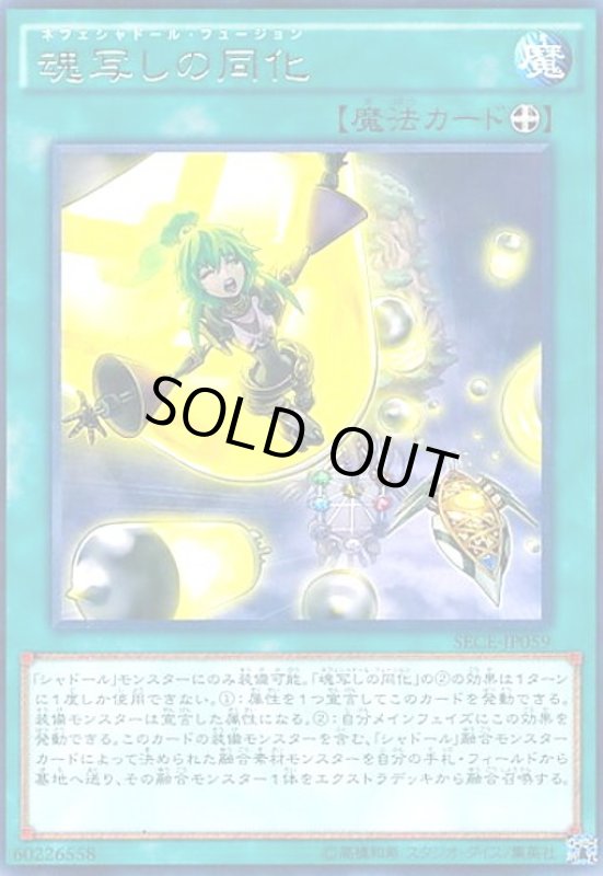 画像1: 魂写しの同化(高価Ｎ) (1)