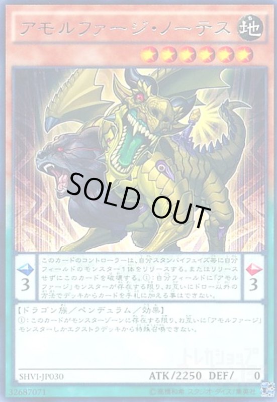 画像1: アモルファージノーテス(高価N) (1)