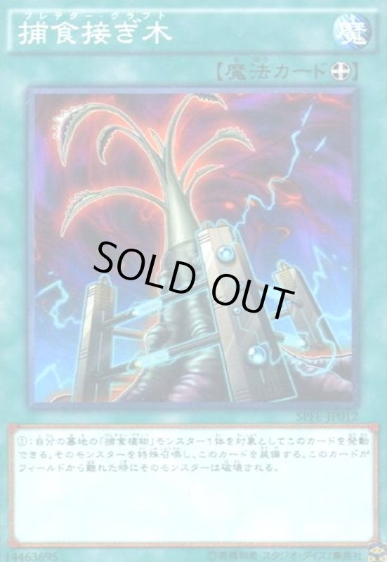 画像1: 捕食接ぎ木(高価N) (1)