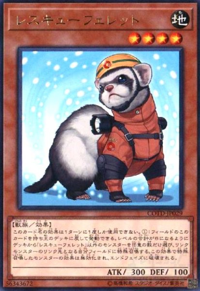 画像1: レスキューフェレット(高価N) (1)