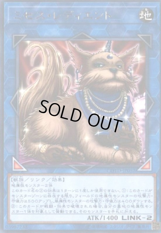 画像1: ミセスレディエント(高価N) (1)