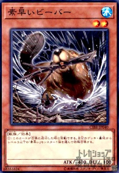 画像1: 素早いビーバー(高価N) (1)