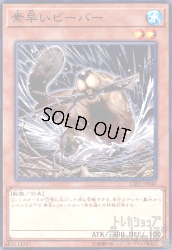 画像1: 素早いビーバー(高価N) (1)