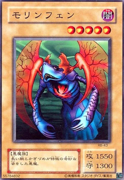 画像1: モリンフェン(高価N) (1)