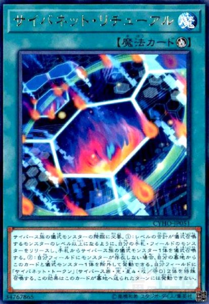 画像1: サイバネットリチューアル(高価N) (1)