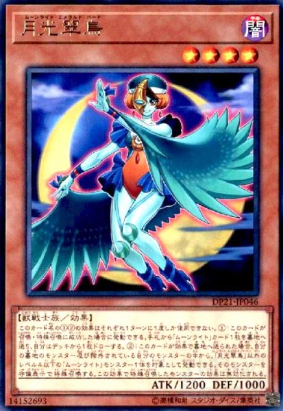 画像1: 月光翠鳥(高価N) (1)