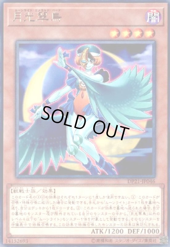 画像1: 月光翠鳥(高価N) (1)