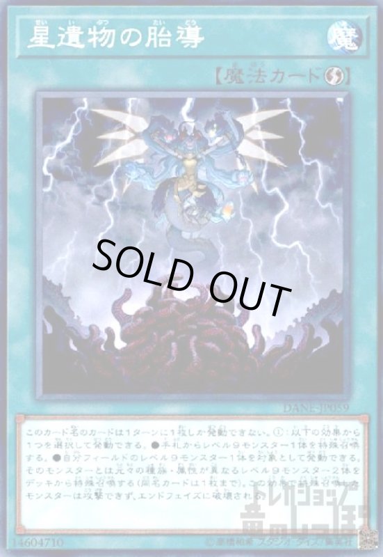 画像1: 星遺物の胎導(高価N) (1)