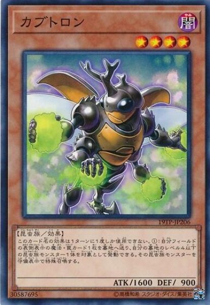 画像1: カブトロン(高価N) (1)