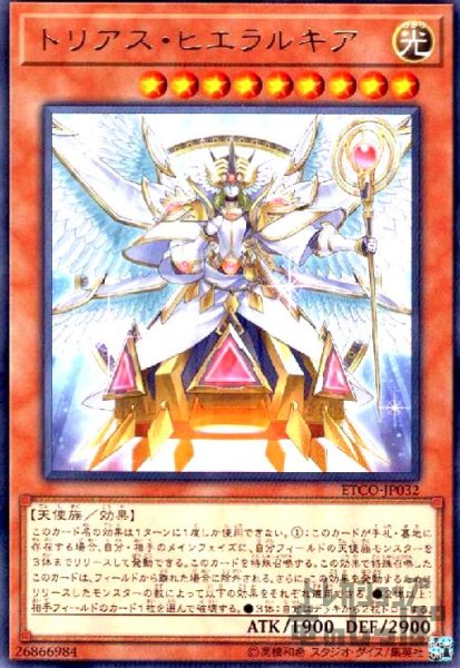 画像1: トリアスヒエラルキア(高価N) (1)