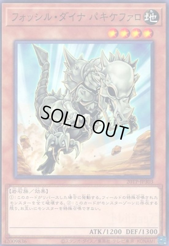 画像1: フォッシルダイナパキケファロ(高価N) (1)