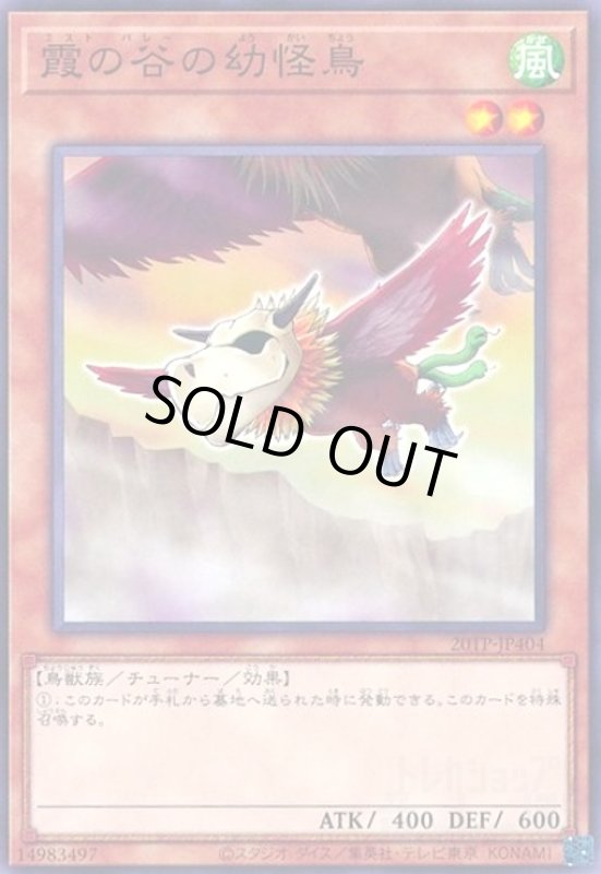 画像1: 霞の谷の幼怪鳥(高価N) (1)