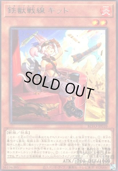 画像1: 鉄獣戦線キット(高価N) (1)