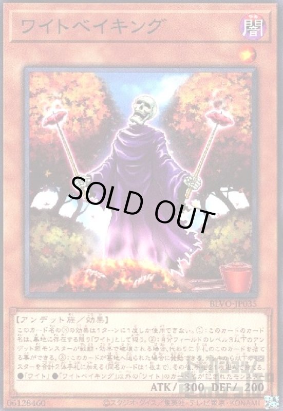 画像1: ワイトベイキング(高価N) (1)