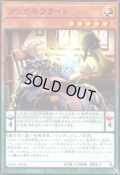 画像1: アンカモフライト(高価N) (1)