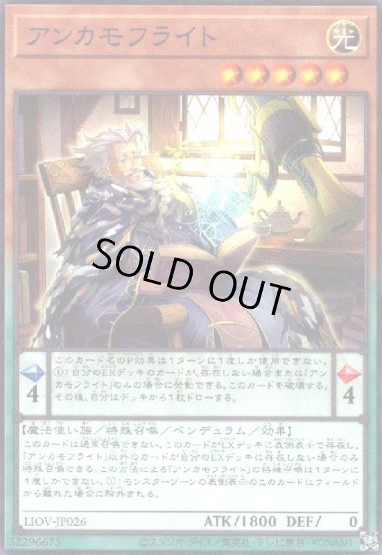 画像1: アンカモフライト(高価N) (1)