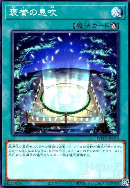 画像1: 褒誉の息吹(高価N) (1)
