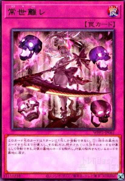 画像1: 常世離れ(高価N) (1)