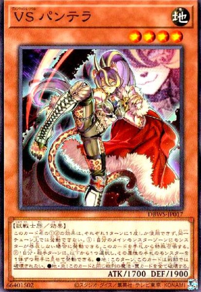 画像1: VS パンテラ(高価N) (1)
